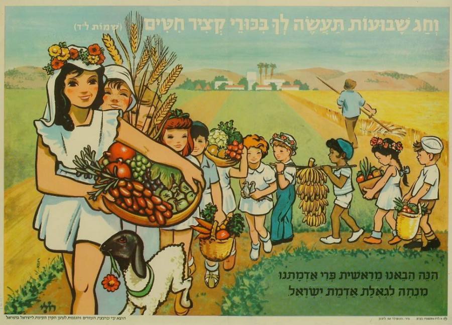 חג הביכורים