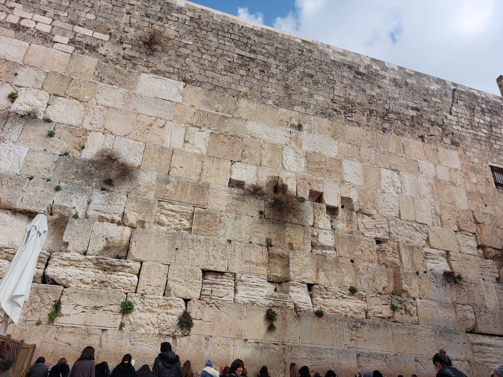 הכותל המערבי הצילום: אזדה קבוש ירושלים 2022