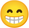 ابتسامة كبير